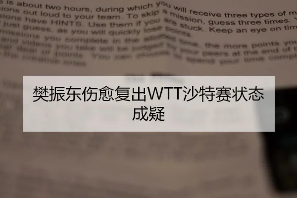 樊振东伤愈复出WTT沙特赛状态成疑